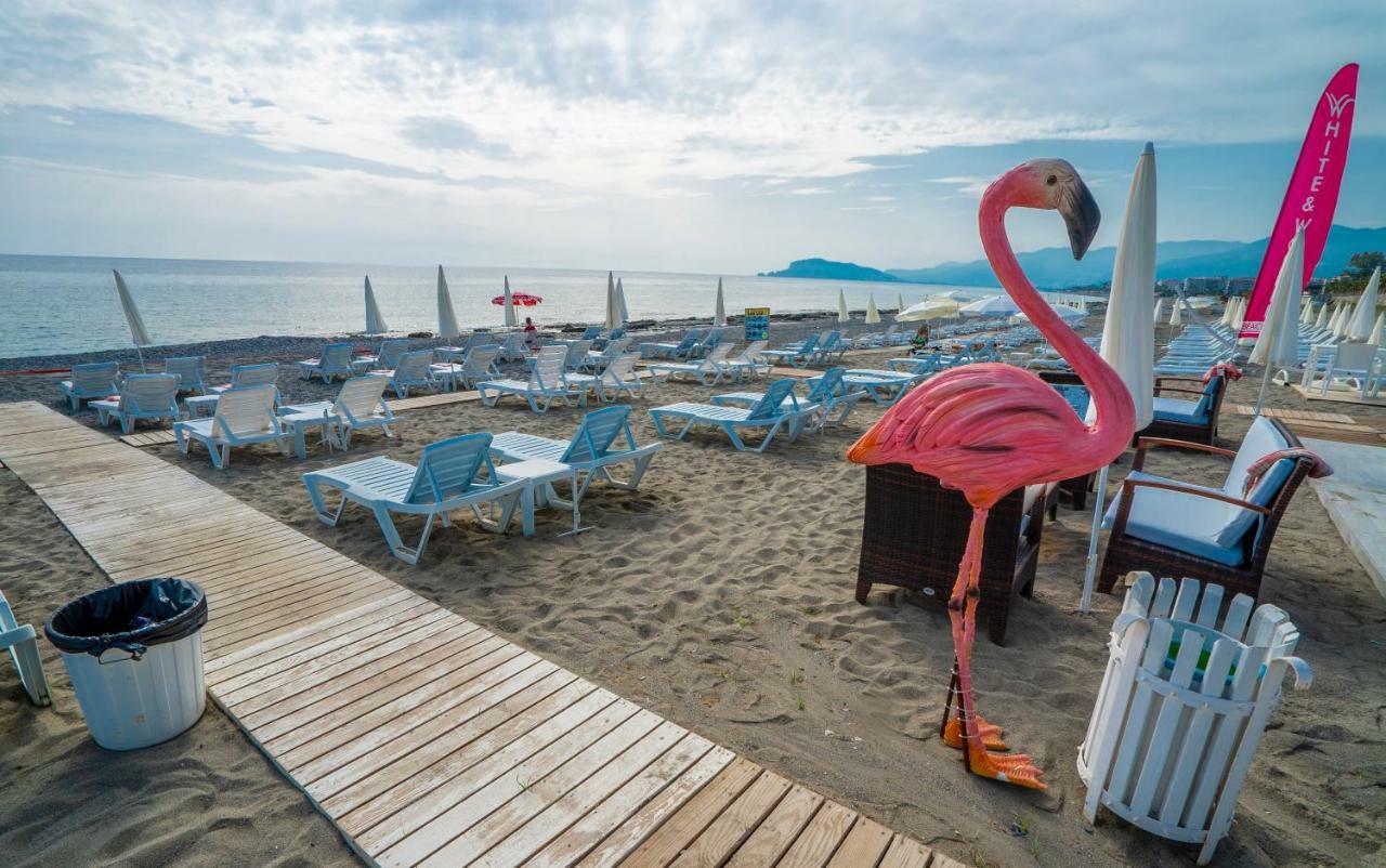 Campus Hill Hotel Alanya Exterior photo